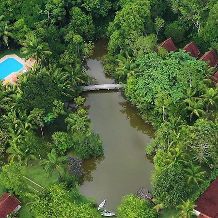 Pousada Salve Floresta Hotel Тапирай Екстериор снимка