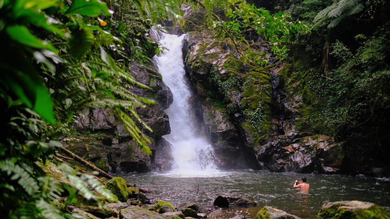 Pousada Salve Floresta Hotel Тапирай Екстериор снимка